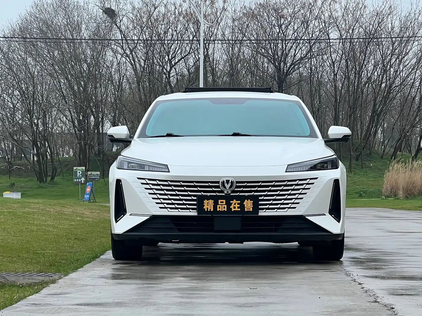 Changan Yida 2023 2023 Blue Whale NE 1.5T GDI DCT Enjoyment Edition