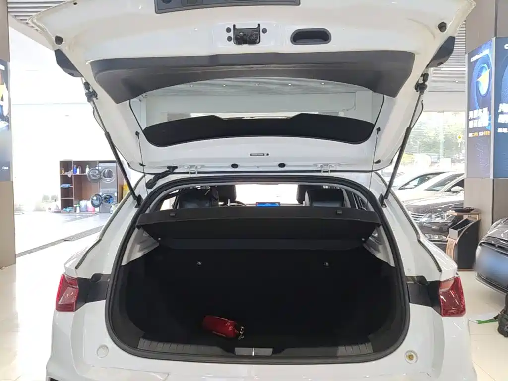 BYD e2 2020 2019 Long Range Yao·Luxury Model