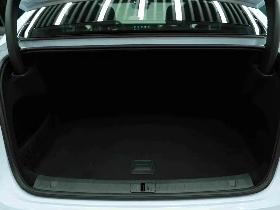 Voyah Passion 2024 2023 4WD Flagship Edition