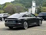 Photo 18 - Lincoln Z