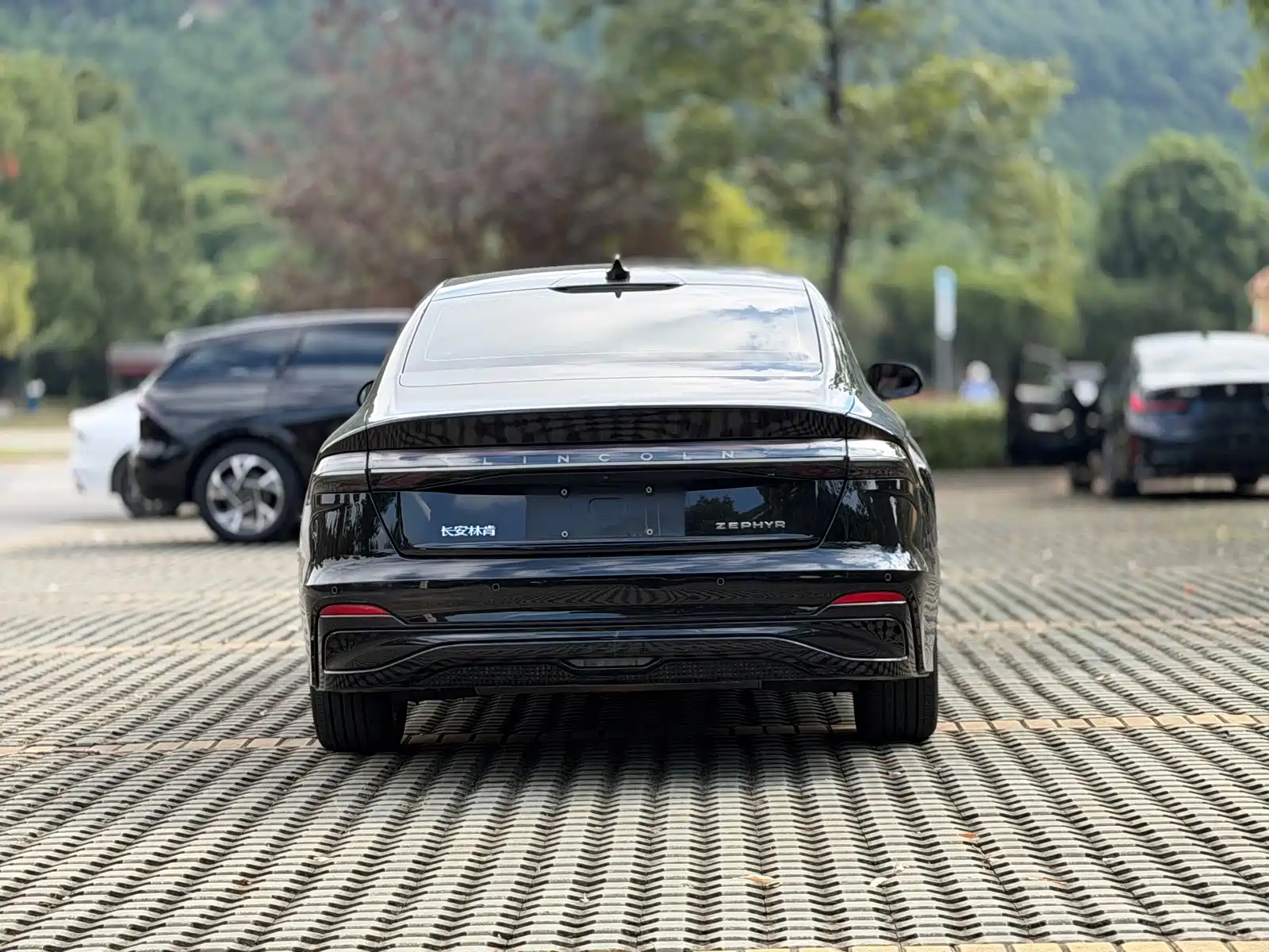 Photo 19 - Lincoln Z