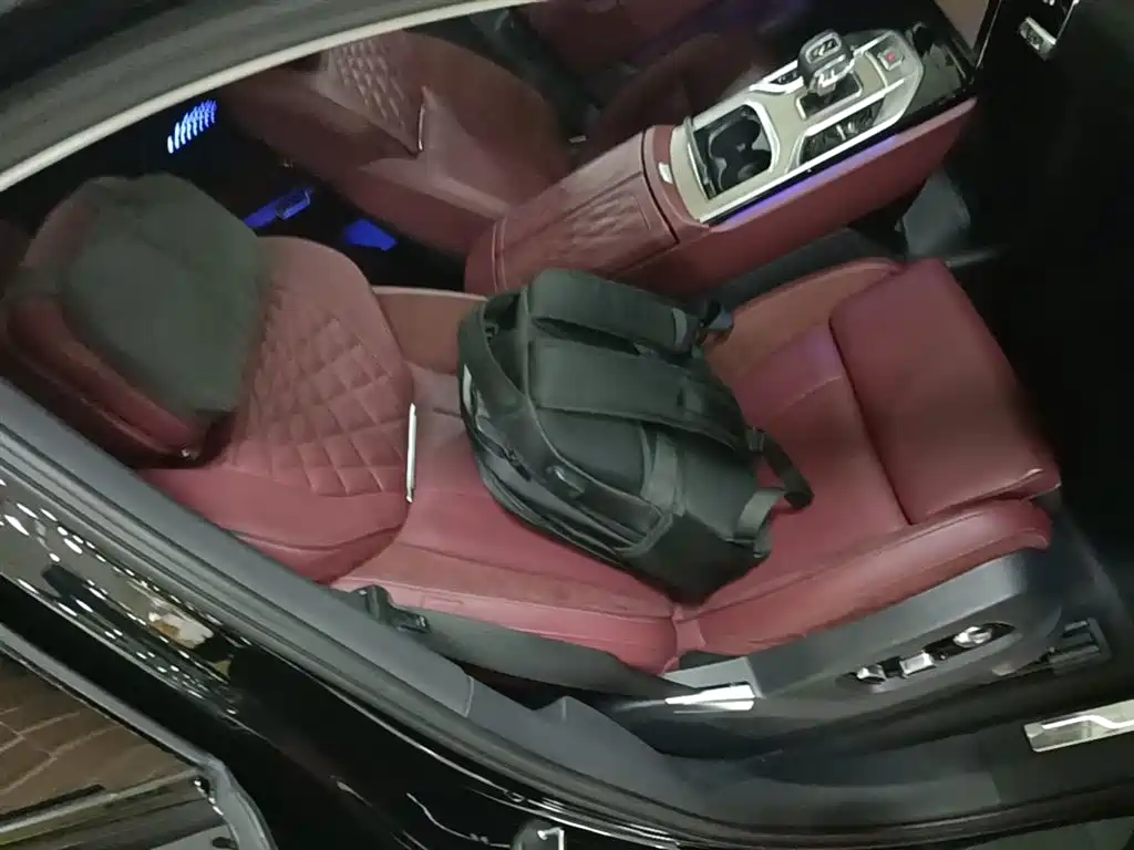 Hongqi E-HS9 2022 690km Qi Xiang Edition (6-seater) фото 25