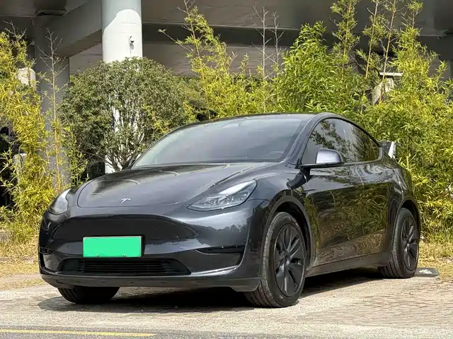 Tesla Model Y 2024 Rear-Wheel Drive Version