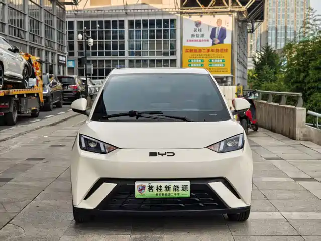 BYD Seagull 2024 Glory Edition 305km Vitality Edition — фото 3