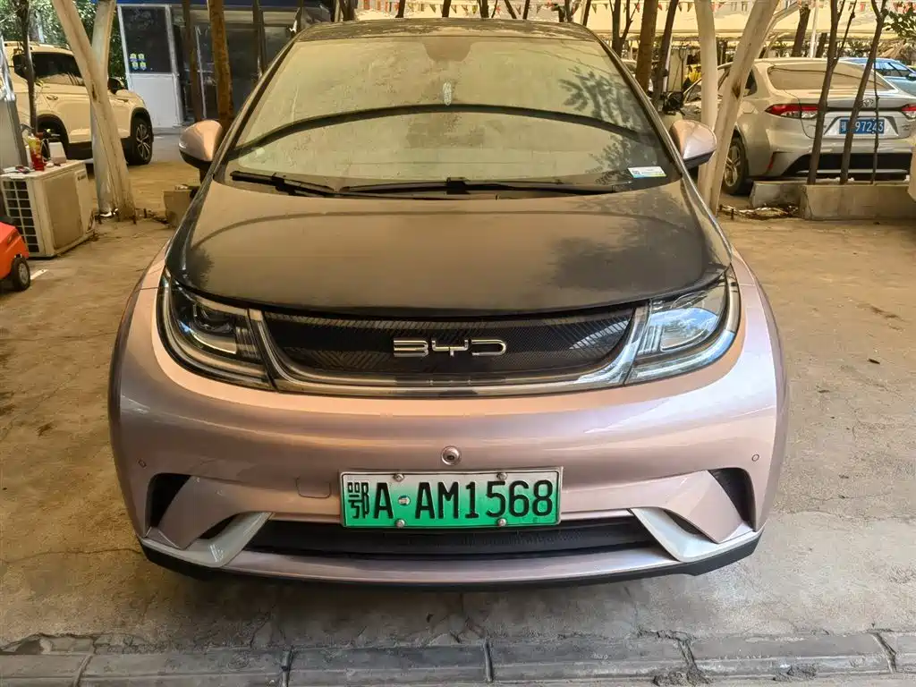 BYD DOLPHIN