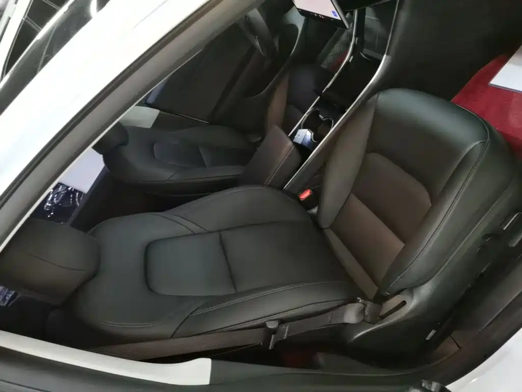 Tesla Model 3 2020 2020 Standard Range Rear-Wheel Drive Upgrade
