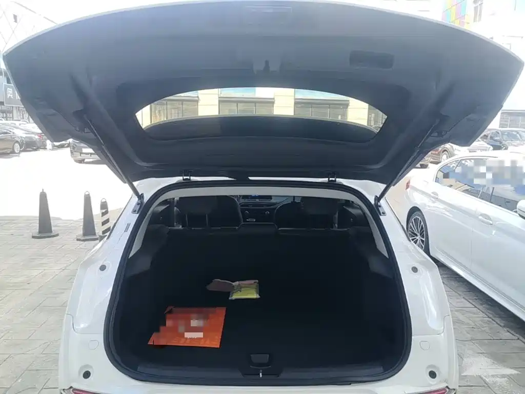 Buick Velite 6 2024 2023 430km Travel Edition