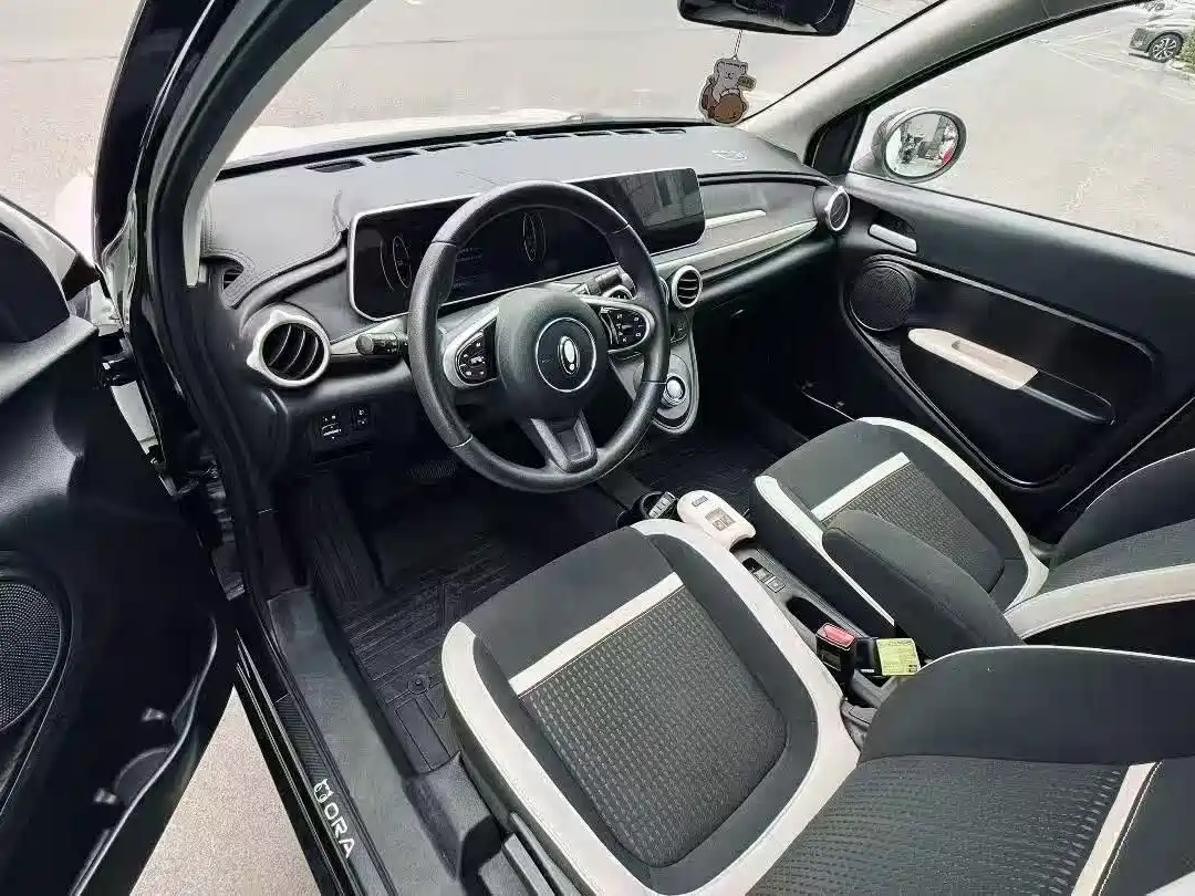 Ora Black Cat 2022 2022 301km Cute Pet Edition (LFP)