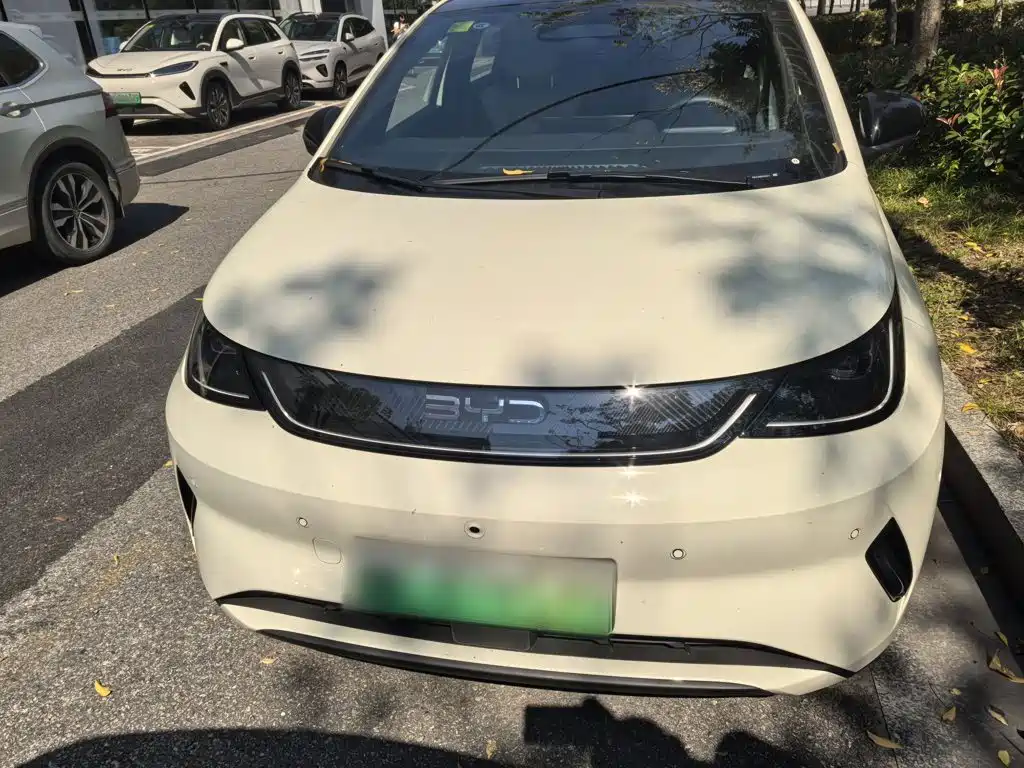 BYD Dolphin 2026 2025 Smart Drive Edition 410km Fashion Version