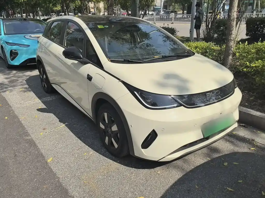 BYD Dolphin 2026 2025 Smart Drive Edition 410km Fashion Version