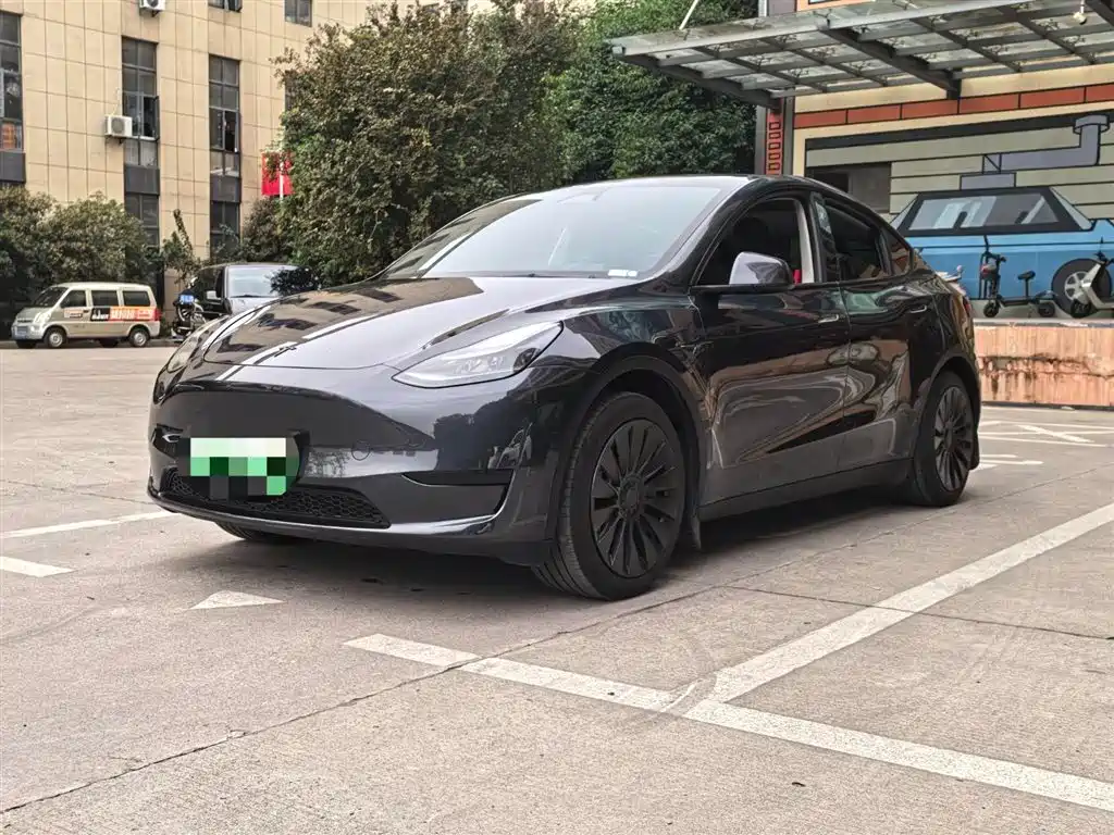 Tesla Model Y 2024 Rear-Wheel Drive Version