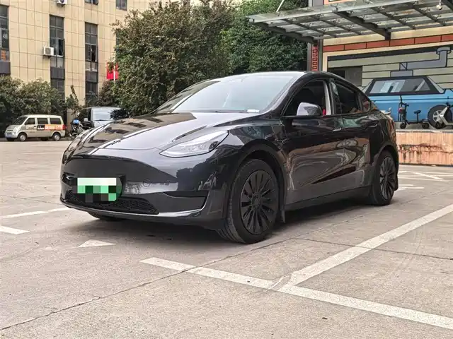 Tesla Model Y 2024 Rear-Wheel Drive Version