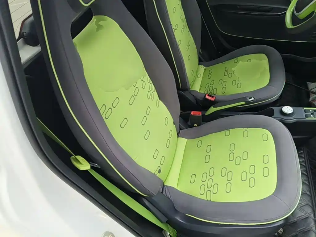 Baojun E100 2021 2020 305KM Intelligent Edition