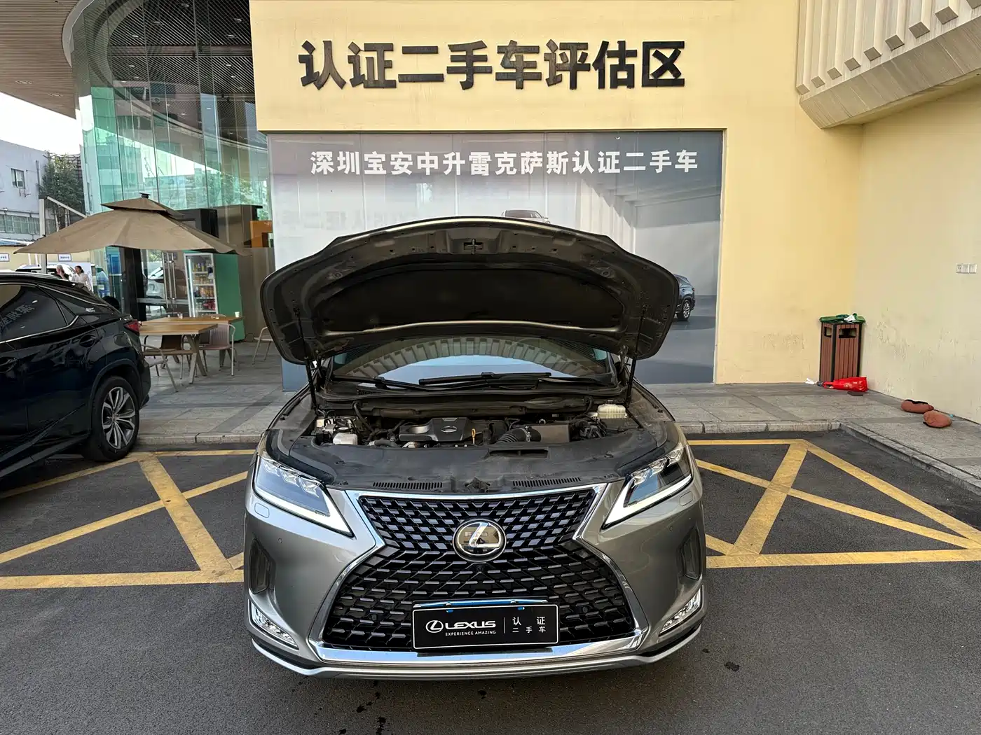Lexus RX 2020 Facelift 300 AWD Elegance Edition фото 5