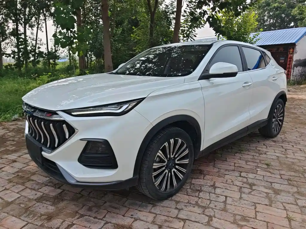 Фото 1 - Changan Oshan Changan Oushang X5