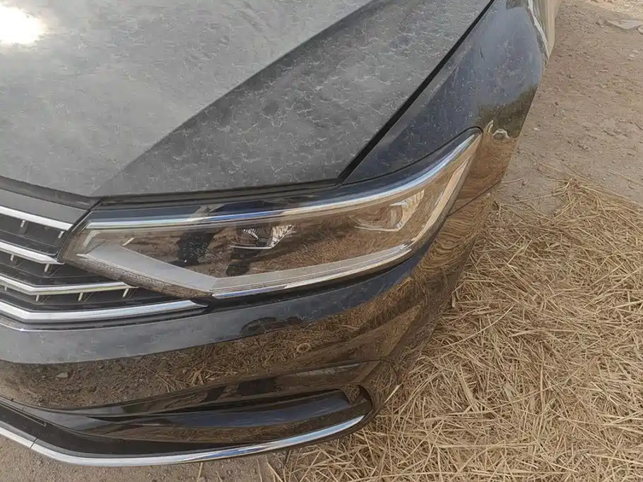 Volkswagen Magotan 2025 2026 Model 30 Million Special Selection 380TSI DSG Luxury