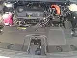 Фото 25 - Lexus RX