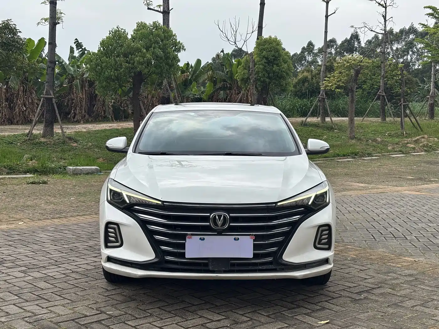 CHANGAN YIDONG
