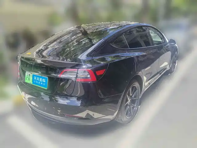 Tesla Model 3 2022 Model Rear-Wheel Drive Version — фото 2