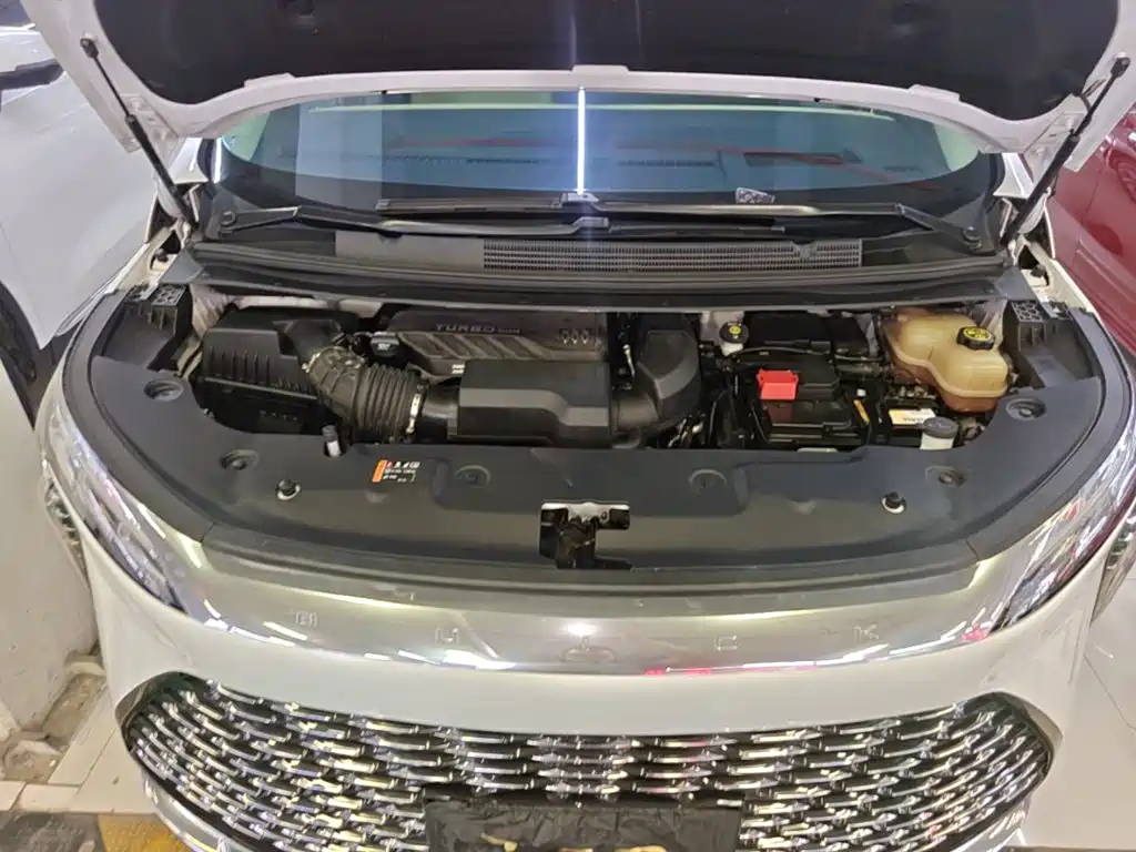 Buick Century 2023 2023 2.0T 6-Seat World Edition