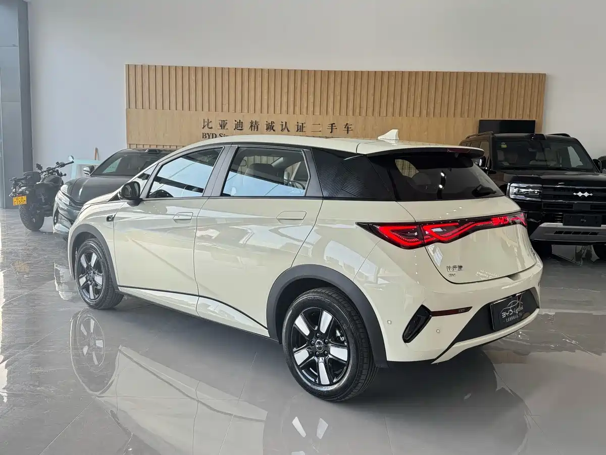 BYD Dolphin 2026 2025 Smart Drive Edition 410km Fashion Version