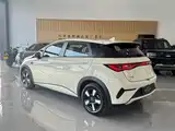 Фото 4 - BYD Dolphin