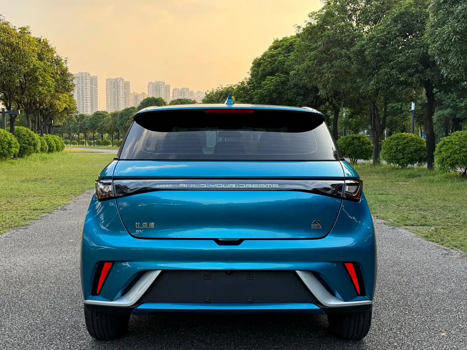 Фото 4 - BYD Dolphin