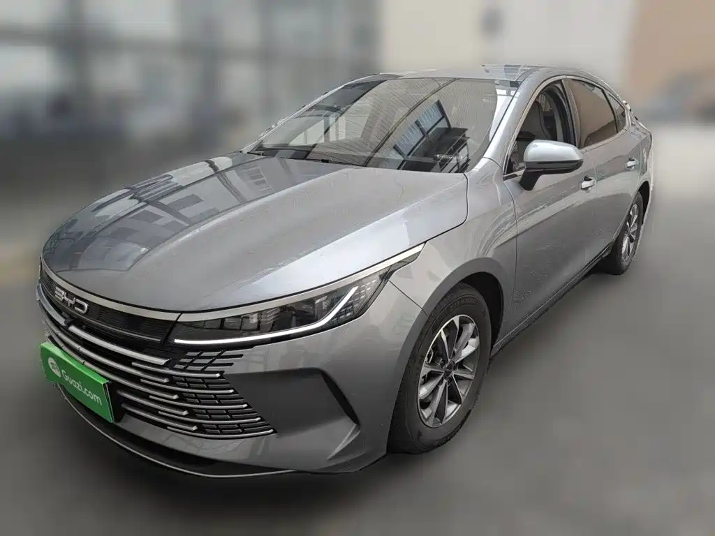 BYD Destroyer 05 2024