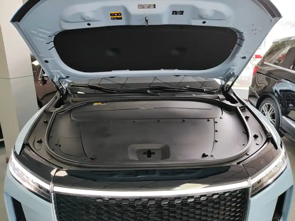 Фото 20 - Li Auto Li ONE