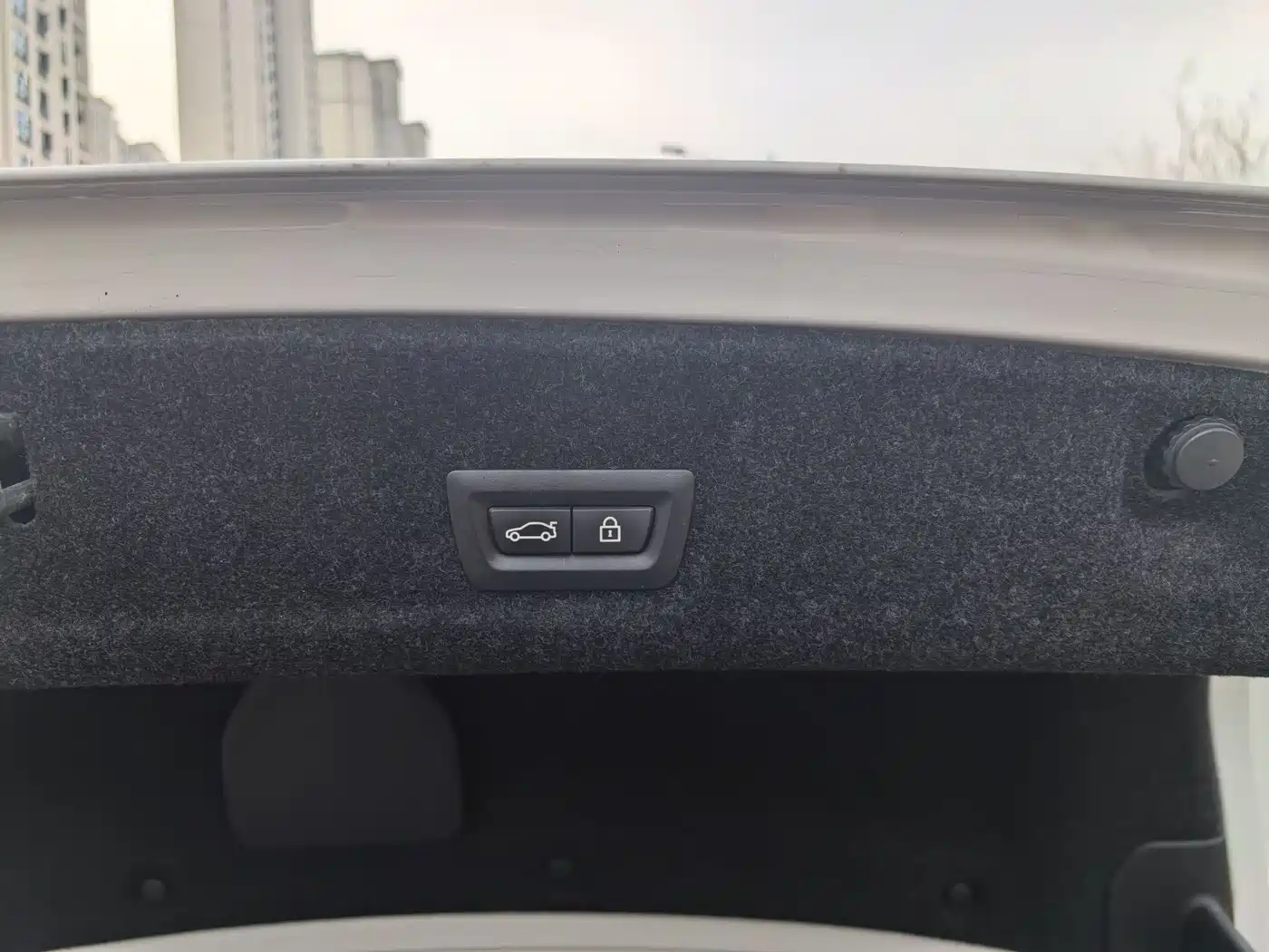 BMW 3 Series 2020 320Li M Sport Package фото 19