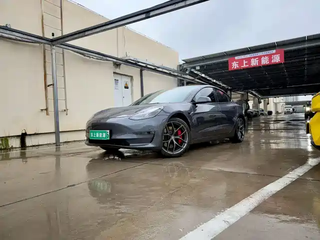 Tesla Model 3 2022 Performance High-Performance AWD