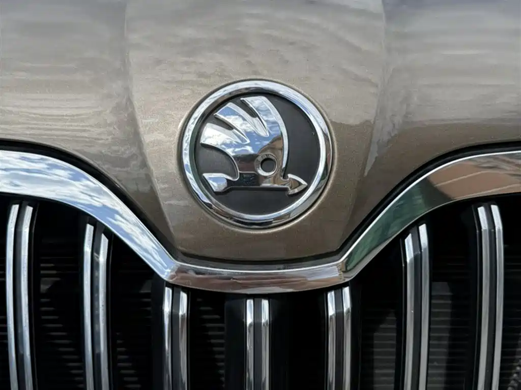 Škoda Yeti 2014 1.4TSI DSG Wild фото 25