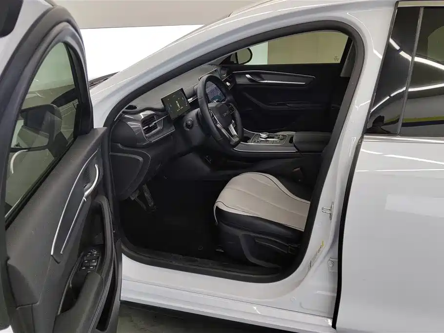 BYD Destroyer 05 2024 Glory Edition DM-i 55KM Luxury фото 9