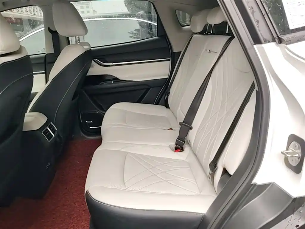 Chery New Energy Chery Comfort Home 2024 2024 512km Joyride Edition
