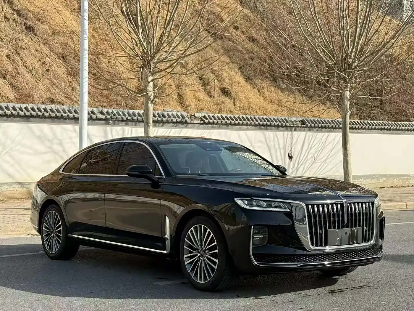 Hongqi H9 2022 2.0T Smart Connect Flag Enjoy Edition фото 3