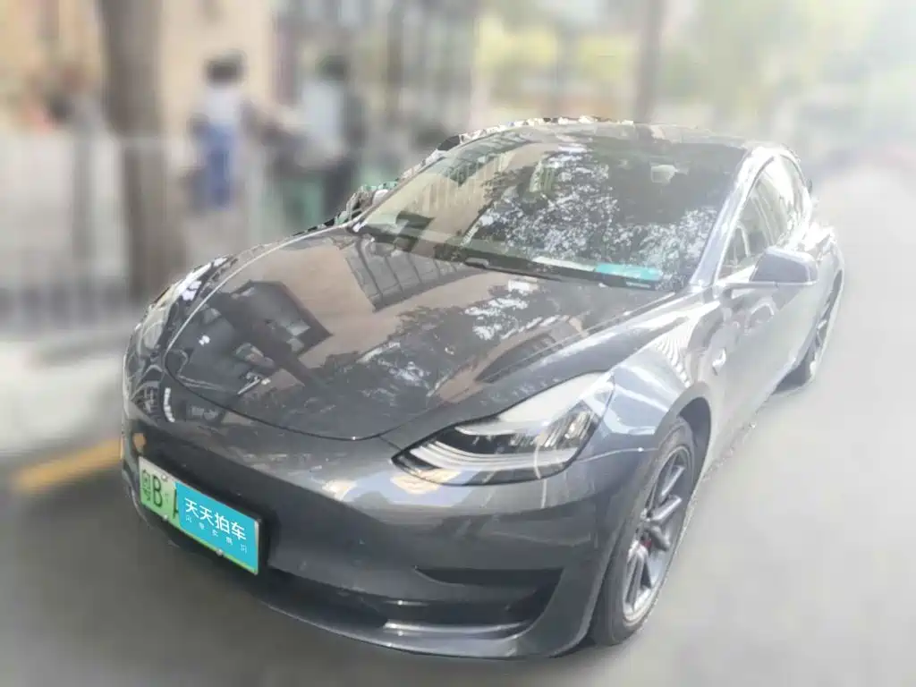 Tesla Model 3 2020 Facelift Standard Range RWD Upgrade