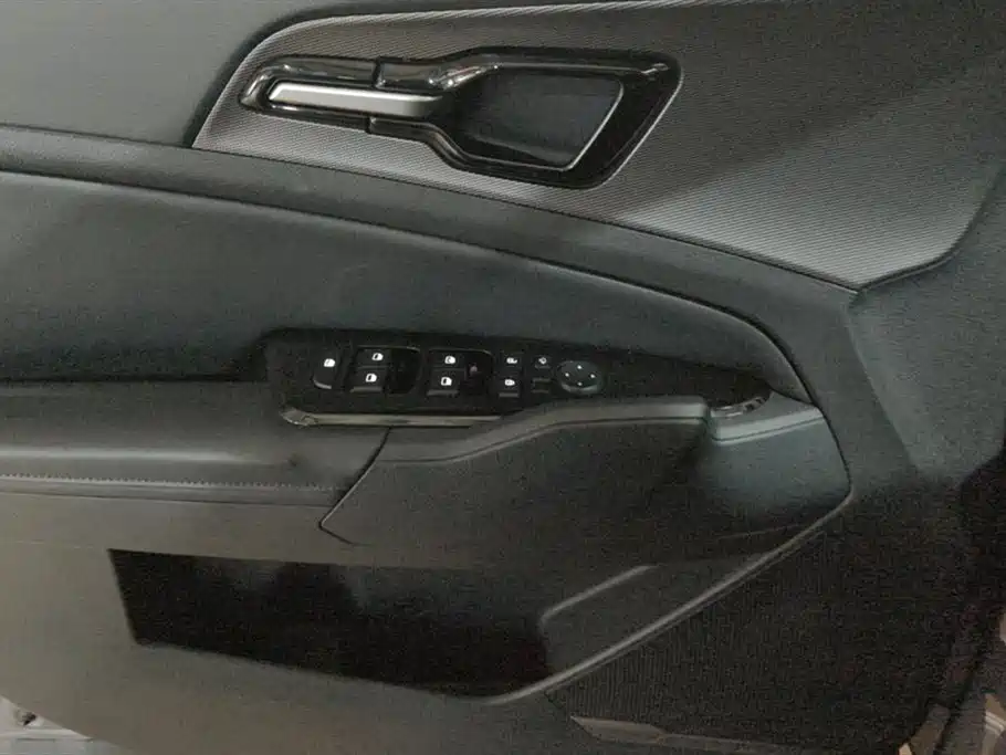 KIA LION PLATINUM EXPANDS THE WORLD