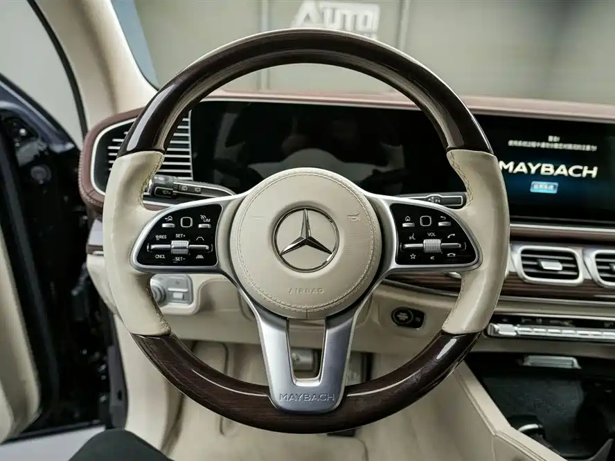 Mercedes-Benz Maybach GLS 2021 GLS 600 4MATIC Ritual Edition фото 9