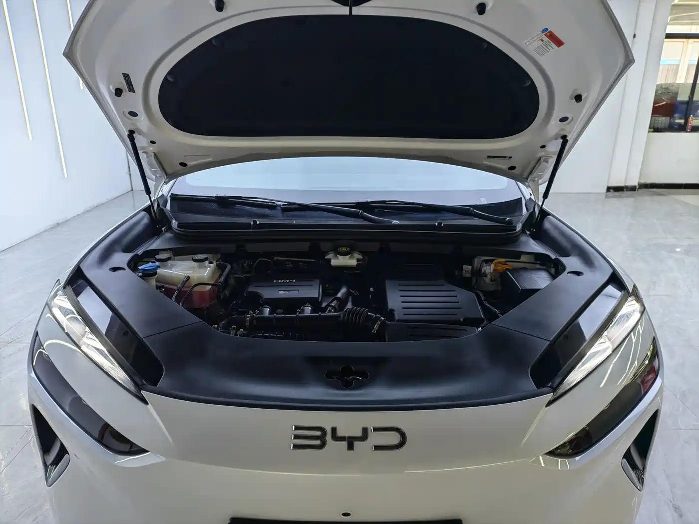 BYD Sealion 06 New Energy 2025 DM-i 170 Pilot Plus Edition фото 11