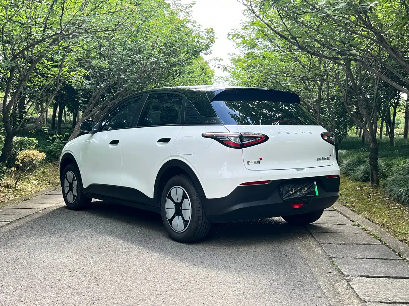 Geely Galaxy Starry Wish 2025 310km Youth Edition фото 4