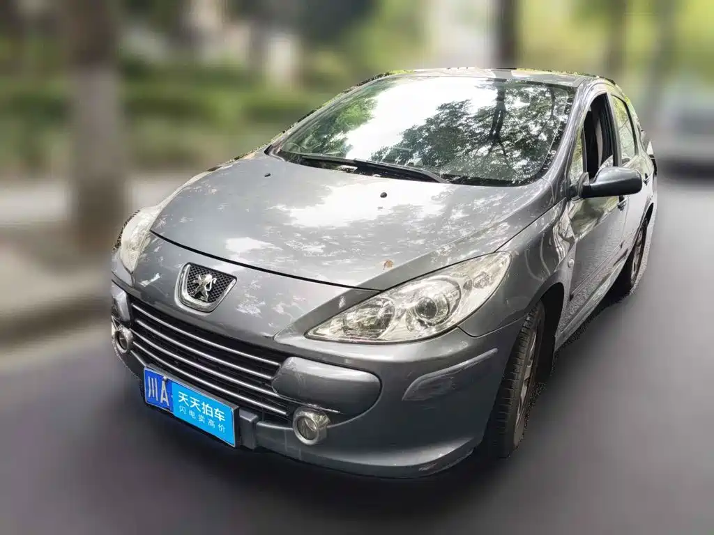 صورة 1 - Peugeot 307