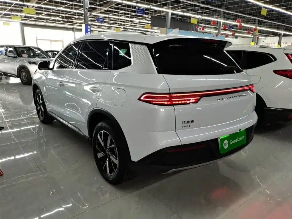 BYD Song Pro New Energy 2024 Glory Edition DM-i 71KM Pilot фото 5