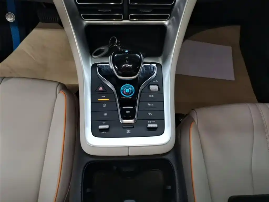 BYD Song Pro New Energy 2024 Glory Edition DM-i 71KM Pilot фото 14