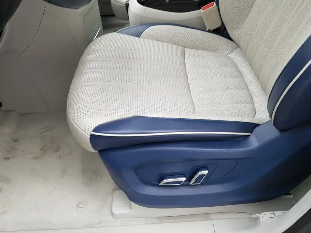 Roewe iMAX8 2022 2022 400TGI Gathering Edition