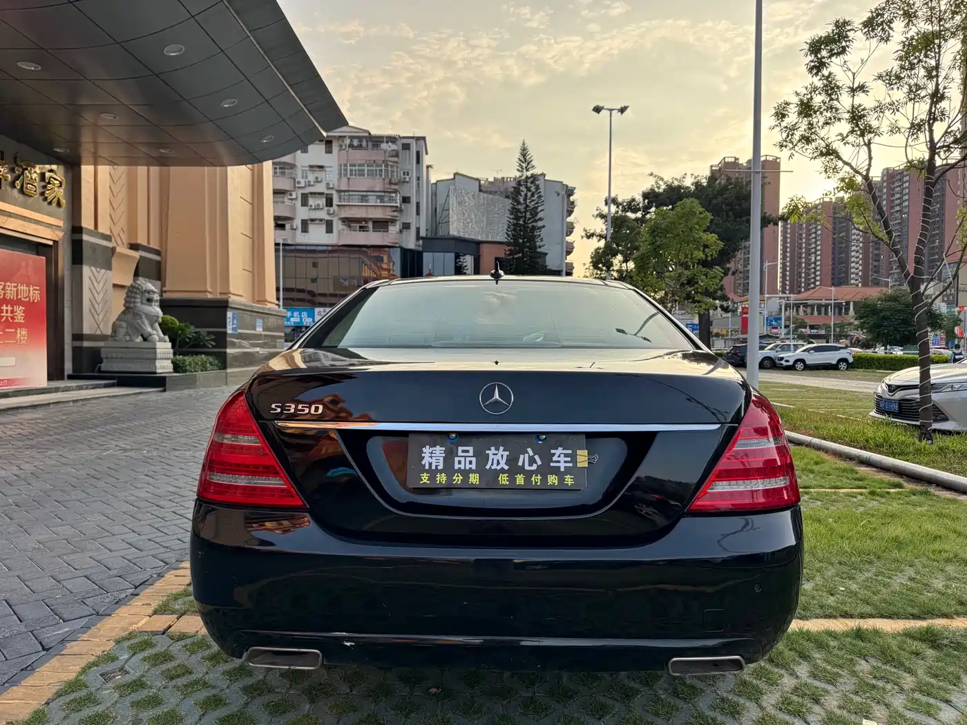 Mercedes-Benz S-Class 2010 S 350 L Luxury фото 5