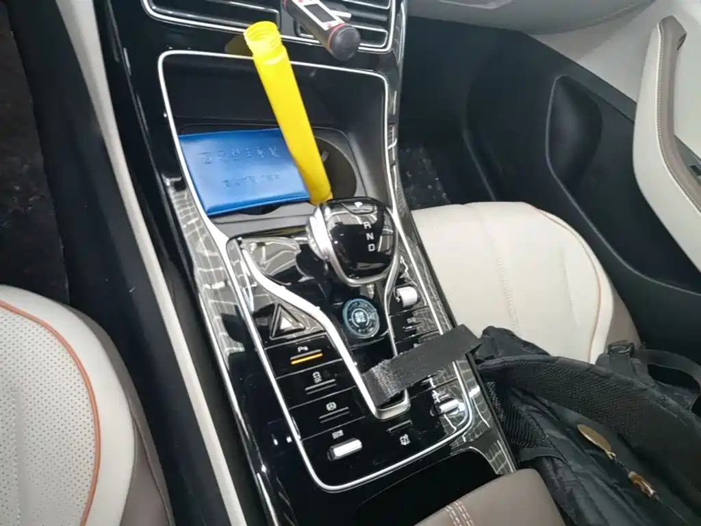BYD Qin PLUS 2024 Glory Edition EV 510KM Leading фото 14