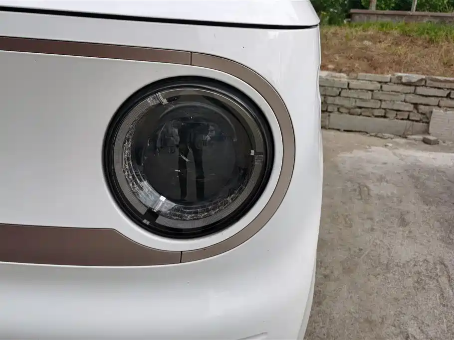 Geely Galaxy Panda 2023 Panda Mini 200km Endurance Bear фото 5