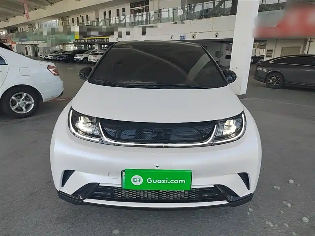 BYD Dolphin 2024 Glory Edition 420km Fashion Edition фото 3