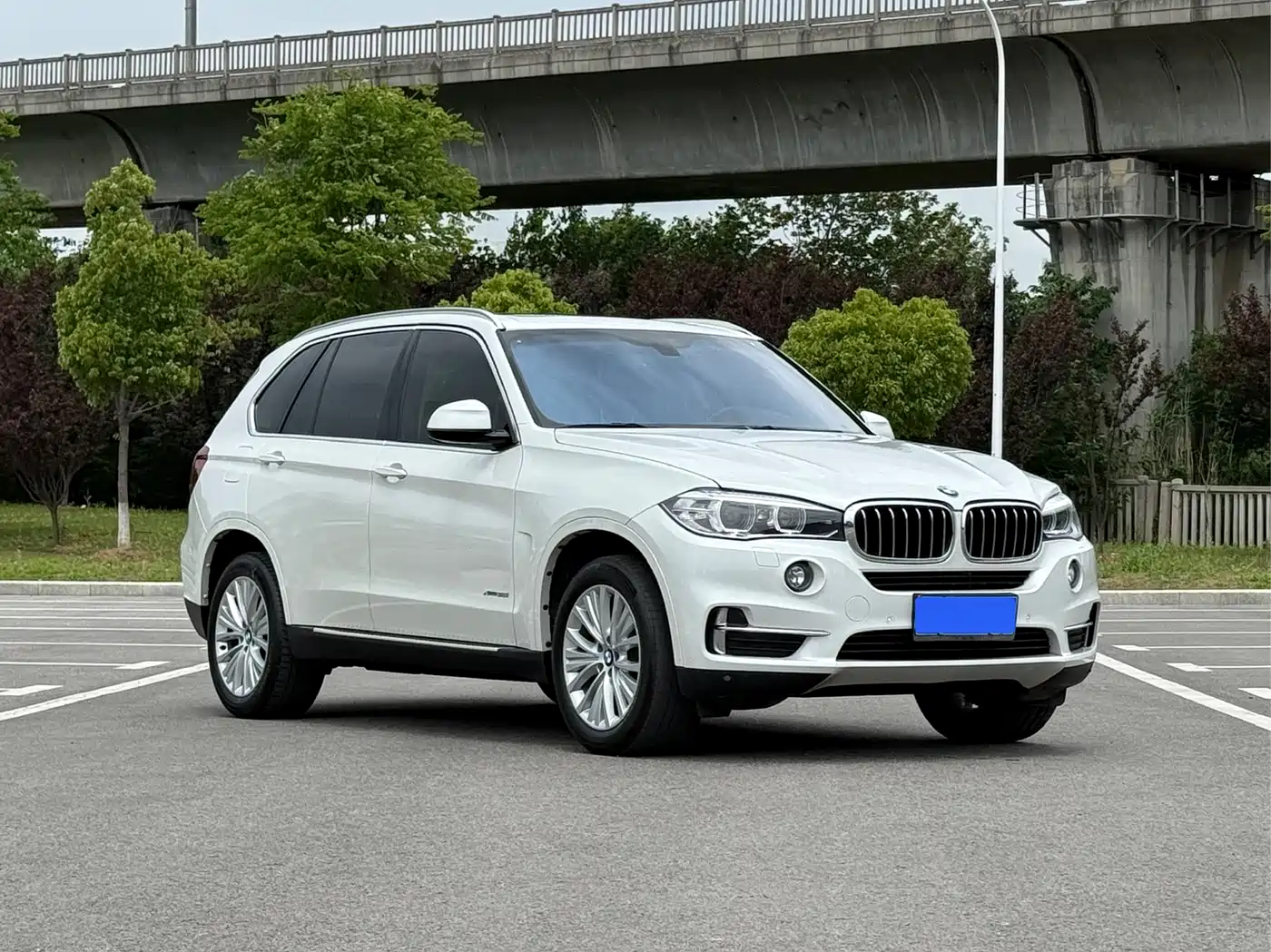 BMW X5 (Import) 2017 xDrive28i фото 3