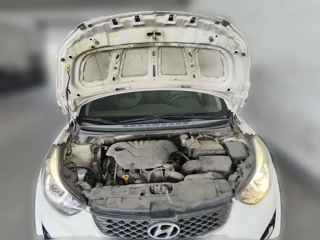 Фото 3 - Hyundai Langdong